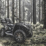 Кофр для квадроцикла СФ МОТО/ ЦФ МОТО  450L/X4 REAR BOX