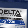 Аккумулятор для снегохода DELTA EPS 1230 (ПОВЫШЕННОЙ ПУСКОВОЙ ТОК) YTX30HL-BS YTX30L-BS