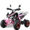 Квадроцикл бензиновый MOTAX ATV T-Rex LUX 125 cc	