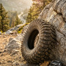 Шина для квадроцикла Maxxis Roxxzilla 35X10R-15