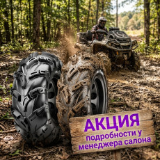 шины для квадроциклов cst wild thang 26x9х12