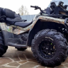 шины для квадроциклов cst wild thang 26x11х12