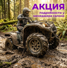 шины для квадроциклов cst wild thang 26x11х12