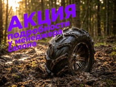 шина для квадроциклов cst wild thang 27x10-14