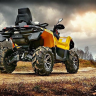 шины для квадроцикла maxxis zilla 27x9 r12
