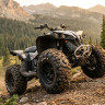 шины для квадроциклов cst STAG 27x9х14