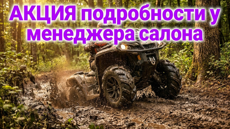 шина для квадроциклов cst wild thang 28x12-12