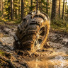 шина для квадроциклов cst wild thang 30x11-14