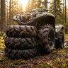 шина для квадроциклов cst wild thang 30x11-14