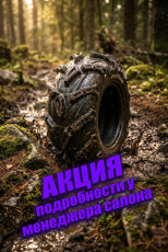 шина для квадроциклов cst wild thang 28x10-12