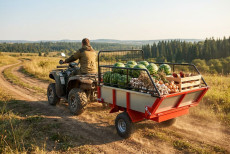 Прицеп для квадроцикла ALFeco ATV 200 (одноосный, двухколесный) с бортами