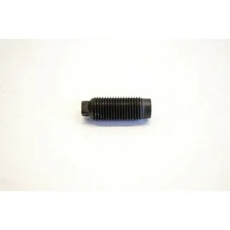 Винт регулировки коромысла Yamaha Grizzly/Rhino/Wolverine/Warrior/Kodiak 31G-12159-02-00